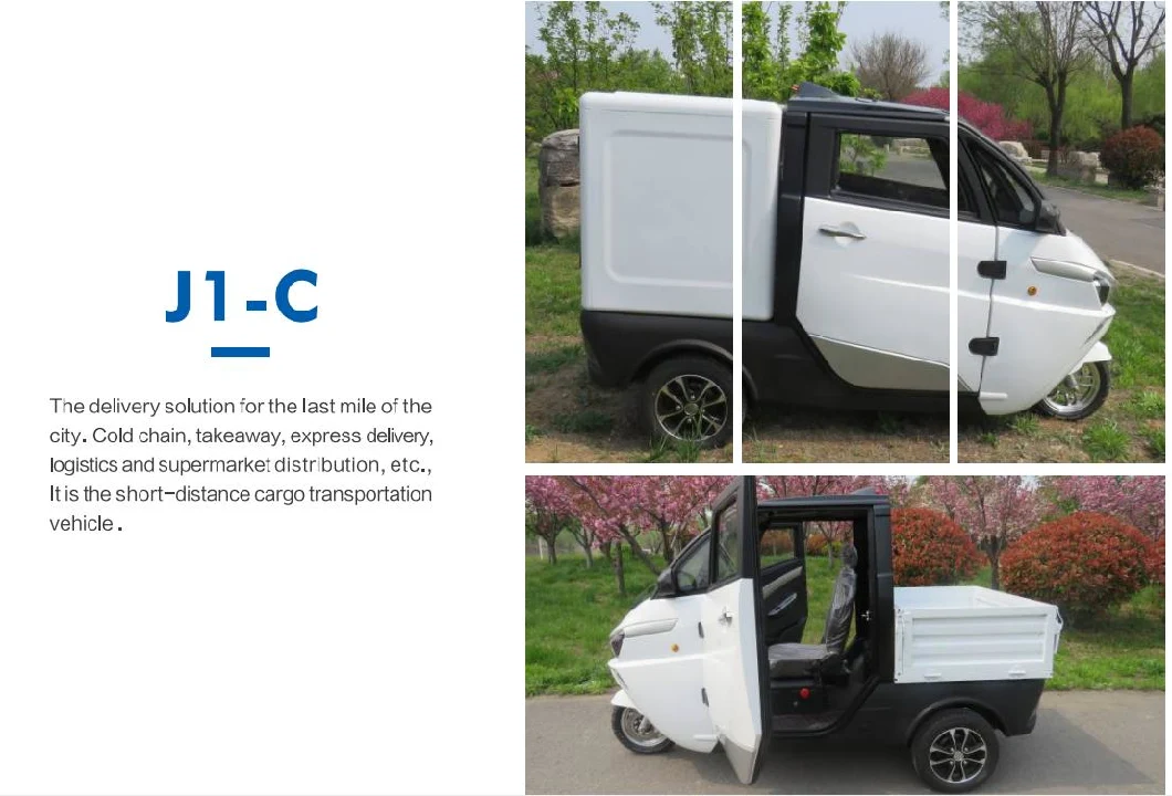 EEC L2e Three Wheel Car Share, Bluetooth Electric Mini Van Pizza Food Delivery Truck for Transportation